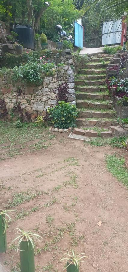 Induwara Guest Hotel Ella Exterior photo